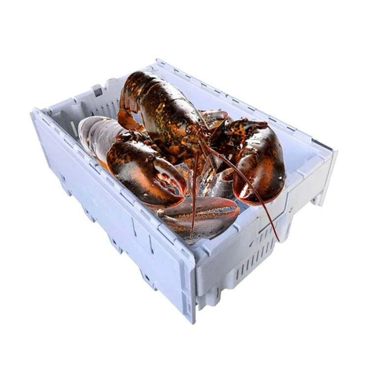 Wholesale Floating Lobster Crate